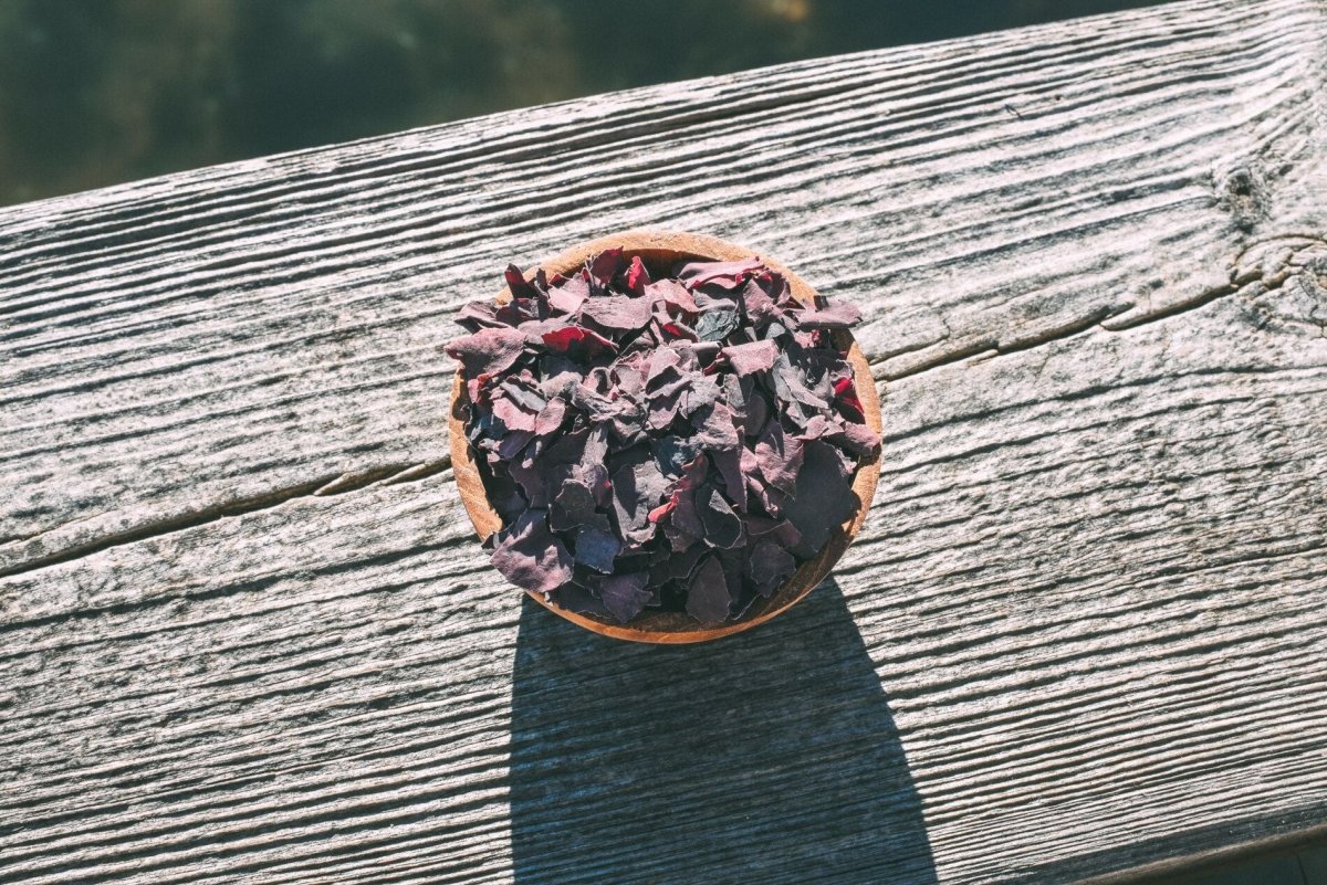 MEERESGARTEN "HERZBLUT" im Display (VPE 5 Stk.) - Bio Dulse - Algenflakes - BeautyVeda | Oceanwell "HERZBLUT" im Display (VPE 5 Stk.) - Bio Dulse - Algenflakes Nahrungsmittel, PROFESSIONAL, Vegan