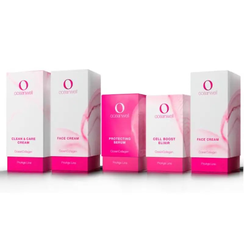 FAKTISE (4 Leerkartons) | Verkaufsförderung.